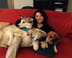 The actress is an animal lover and has a big army of dogs in her home. 